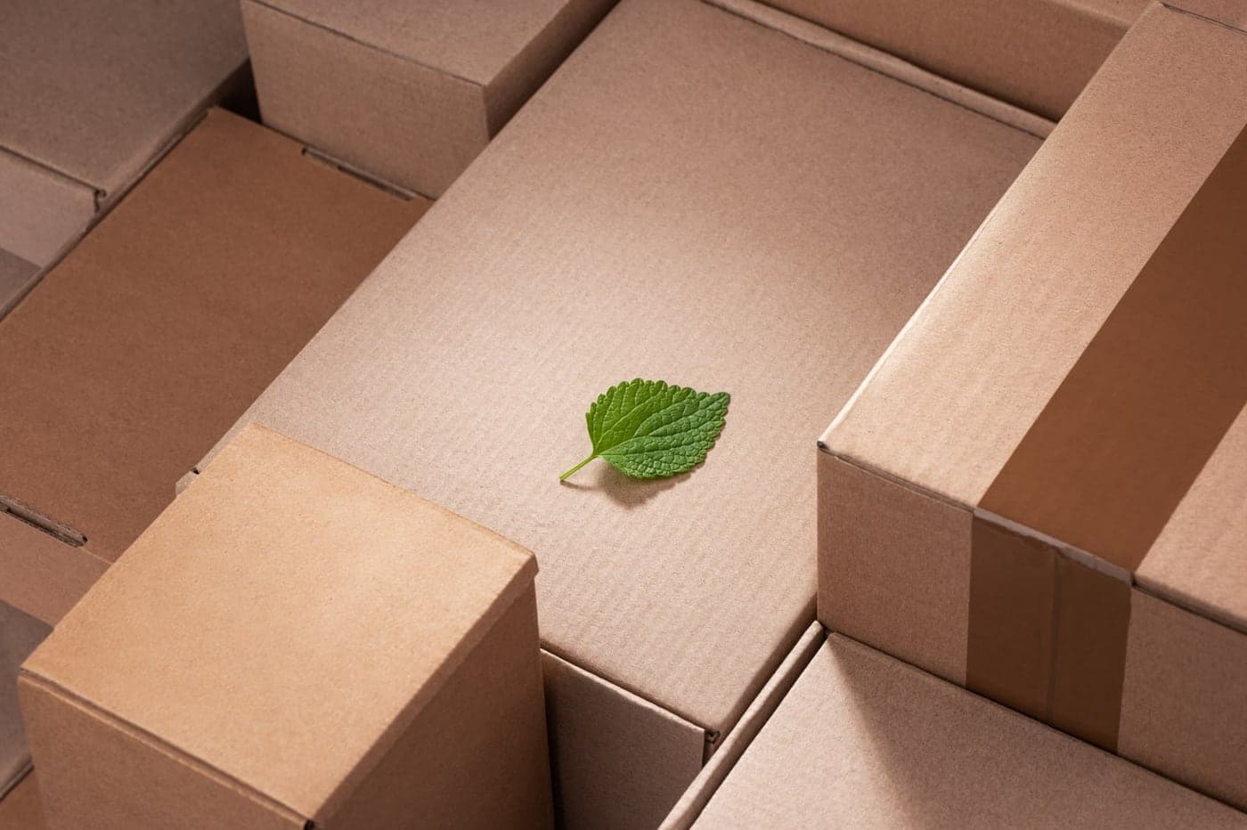 Open kraft cartons with a leaf resting inside one of them